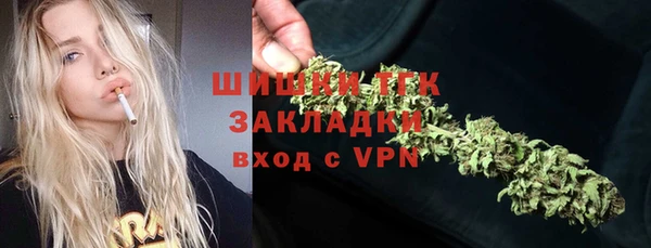 прущий лед Алзамай