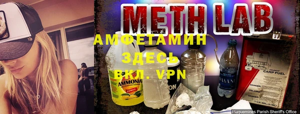 крисы Алексин