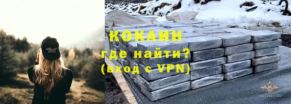 прущий лед Алзамай