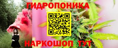 МДПВ Будённовск