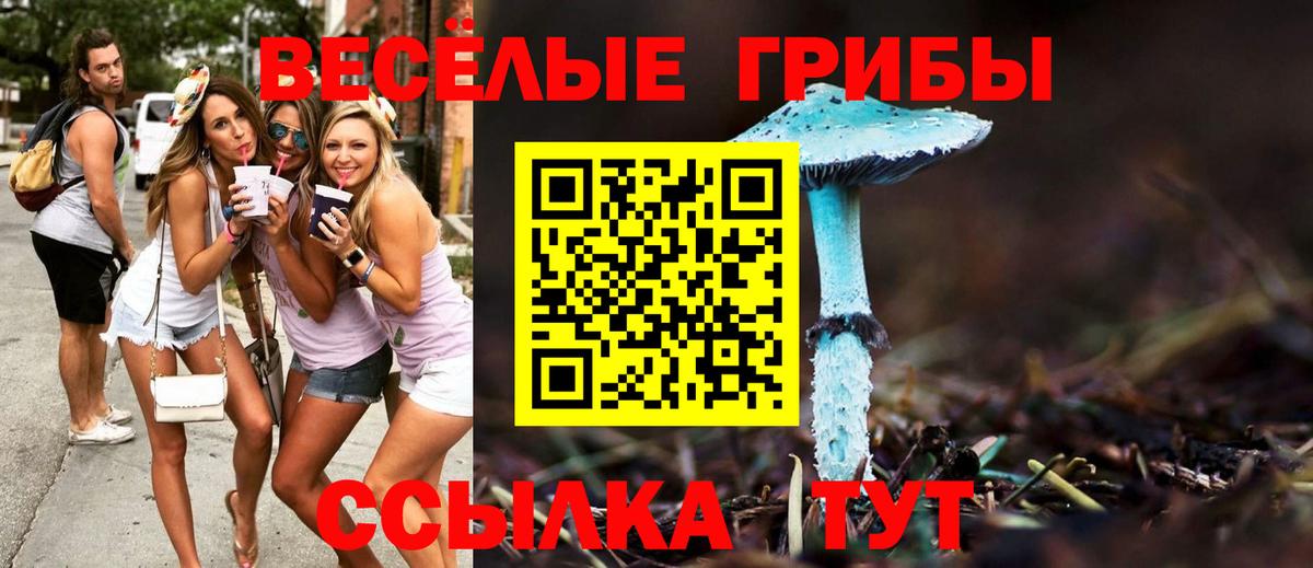 Бахчисарай  Псилоцибиновые грибы ЛСД  закладки  Вход с VPN  Псилоцибиновые грибы мухоморы 